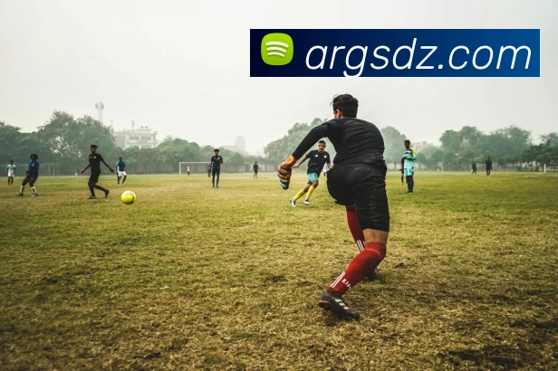 App Interface Preview