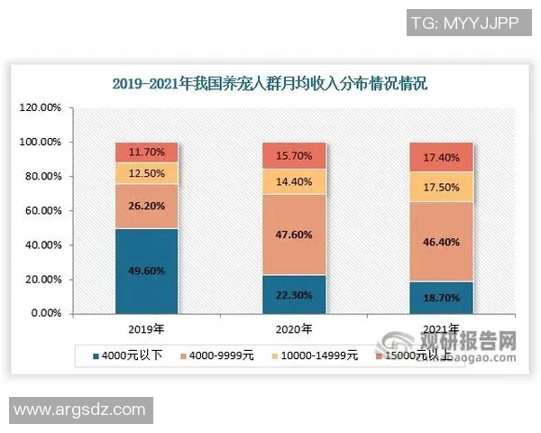 赖斯的外交策略与全球影响力分析：从历史到未来的深度探讨